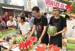 朝阳吃瓜群众,揭秘京城街头的热辣话题与趣味生活