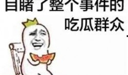 带你去吃瓜瓜哥视频 寿光网红大瓜,带你去吃瓜瓜哥视频背后的故事